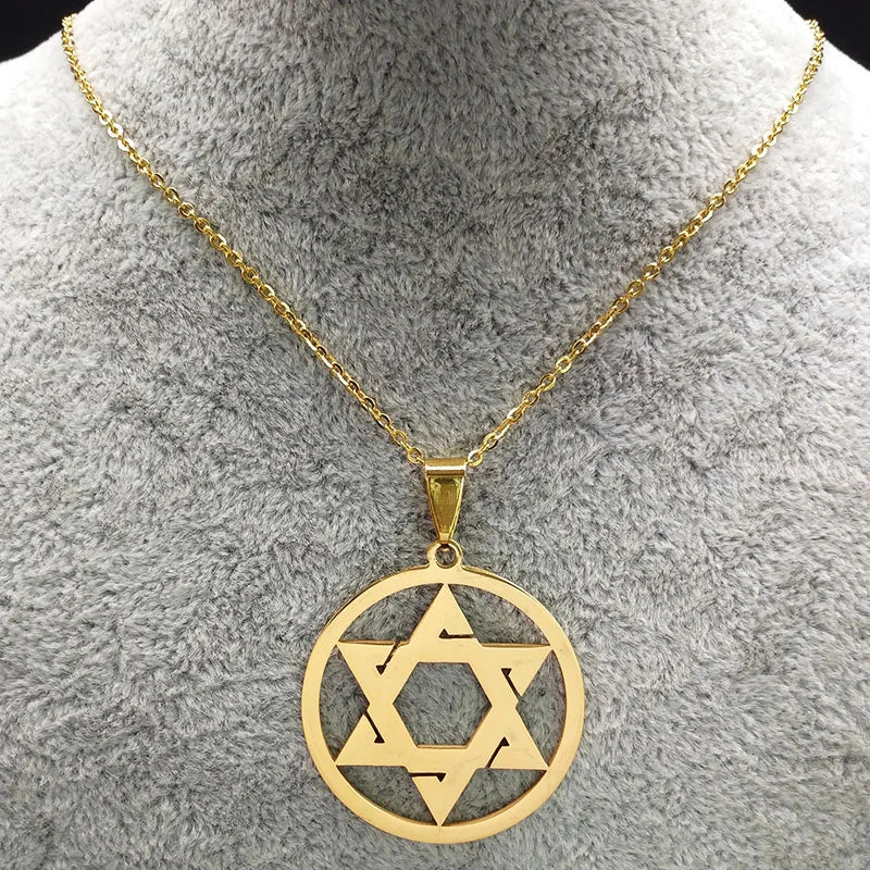 Star Of David Shield Stainless Steel Pendant Necklace