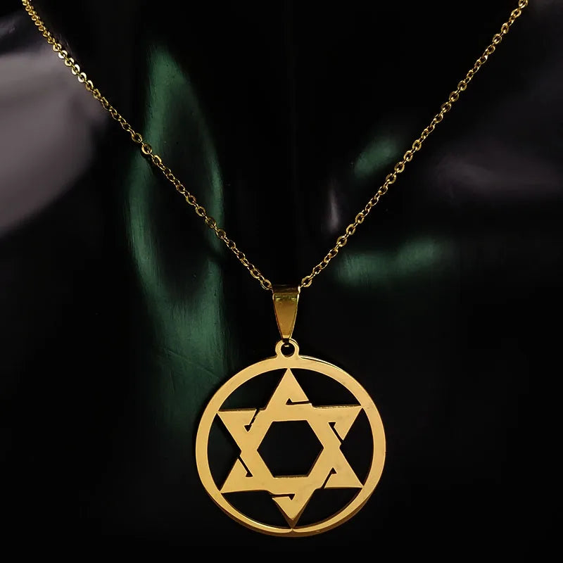 Star Of David Shield Stainless Steel Pendant Necklace