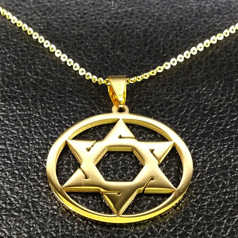 Star Of David Shield Stainless Steel Pendant Necklace